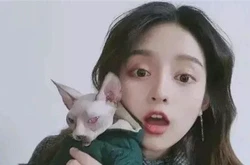 焦虑症表现判断