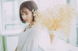 职业兴趣测试霍兰德免费sds