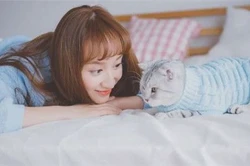 什么是霍兰德职业兴趣测试