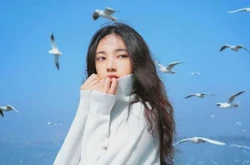 mbit职业测试免费