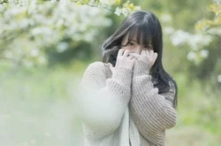 一苇网职业性格测试入口