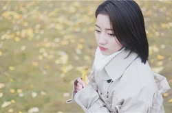脑白质影响抑郁症的治疗