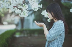 东莞心理医院排行