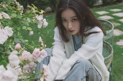 治疗抑郁症的小动物