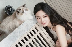 恋爱心理医生在线解答