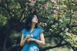测试职业的测试题