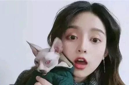 免费抑郁心理自测测试