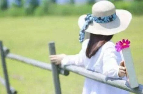 在线情感咨询导师