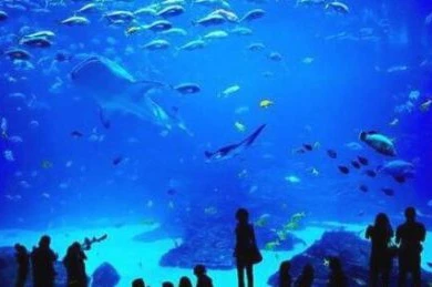 mbti职业性格测试定义
