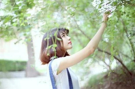 职业能力倾向结果测试